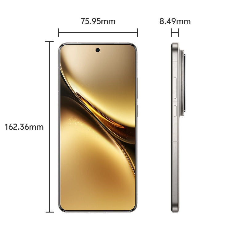 Vivo X200 Pro 5G Dual SIM, 16GB/512GB - Titanium (GLOBAL Version)